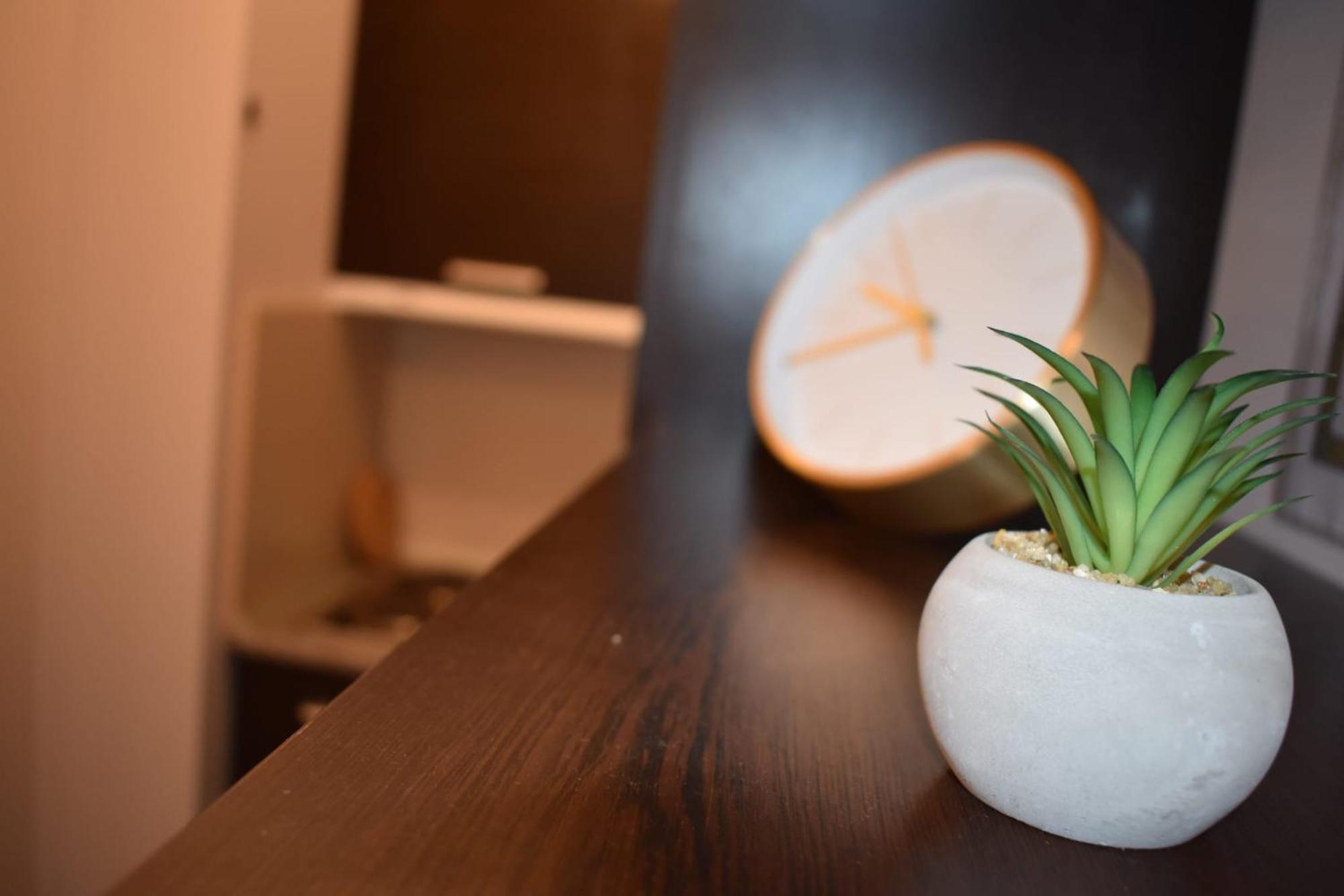 Studio Bella, Bansko Dış mekan fotoğraf